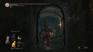 Dark Souls 3 Wood Grain Ring +2 | Кольцо с древесным узором +2 (NG++)