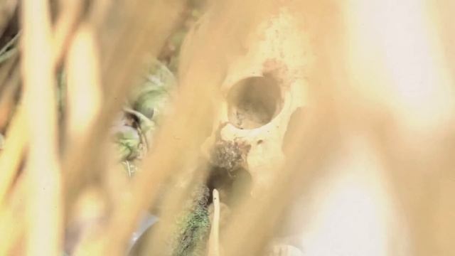 Это потрясающее открытие Рая поразит вас! смотреть онлайн