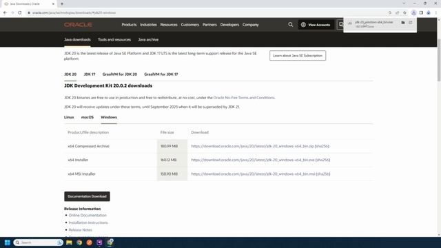 Install Java JDK Quickly - Windows 11 смотреть онлайн