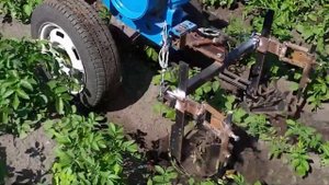 Прополка картофеля Ежами по большой ботве.