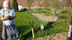 Марьин корень