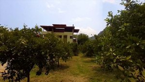 Самая скучная деревушка Турции ? Зачем вообще ездят в Чиралы?