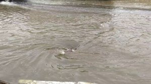 Водоворот