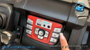 BUGGY P333PP 24V (Полноприводный, двухместный)