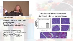 More than Hormones: Endocrine Disrupting Impacts of Emerging Contaminants and Potential Solutions