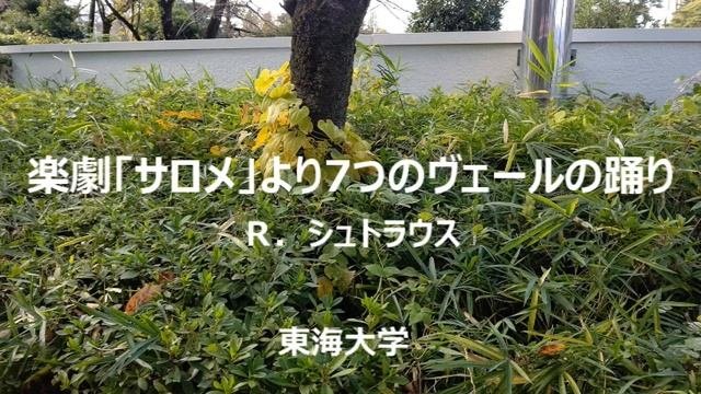 楽劇「サロメ」より７つのヴェールの踊り　Ｒ．シュトラウス（東海大学吹奏楽研究会）