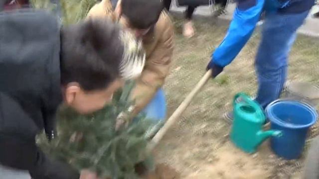 Эколого-патриотическая акция «Лес Победы» смотреть онлайн