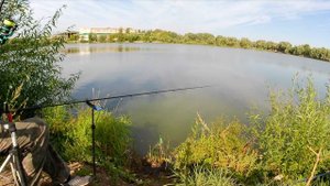 Ловля карася на фидер . карась на фидер августе. прикормка своими руками. часть 2-ая.