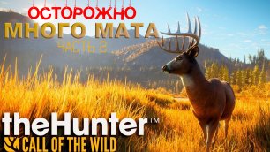 The Hunter: Call of the Wild - Осторожно матершинники часть 2