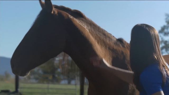 The 700 Club - November 5, 2015 смотреть онлайн