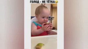 Смешные ролики №47