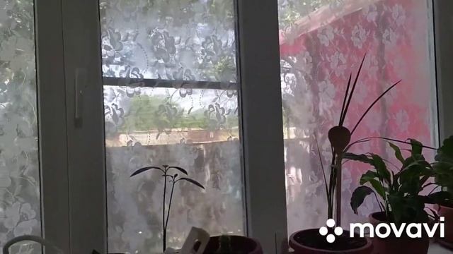 Как украсить окно в кухне своими руками, не заморачиваясь на дорогие жалюзи смотреть онлайн