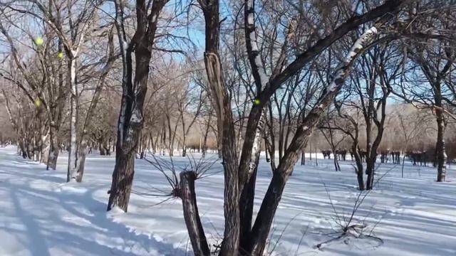 Мы недавно купили квартиру и доверили ремонт сестре мужа. Но она с матерью решили... смотреть онлайн