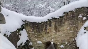 Природный парк Штайнвальд в Баварии, часть 1 (naturpark steinwald in bayern teil1)