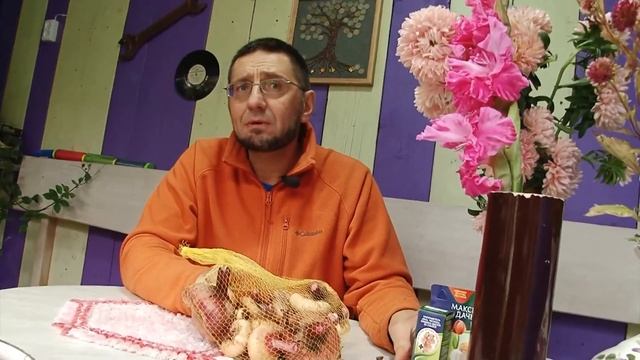 Почему летом не цвели гладиолусы смотреть онлайн