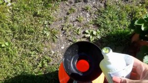 16.06.2018 ОБРАБОТКА КЛУБНИКИ ЯНТАРНОЙ КИСЛОТОЙ.