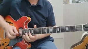 Guitar Solo Cover / Room335 Larry Carlton / Sire H7