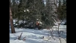 Новогодняя киновикторина