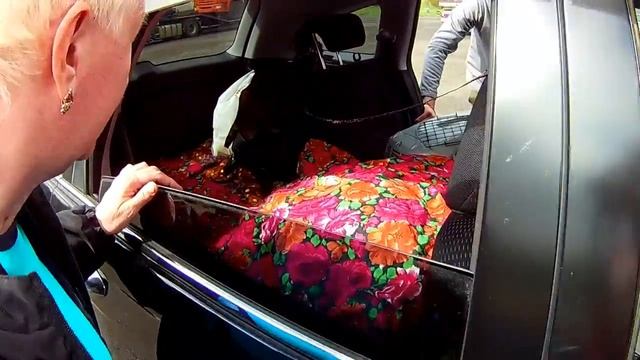 Переезд в Краснодар Дорога часть 2 Комсомольск Хабаровск смотреть онлайн