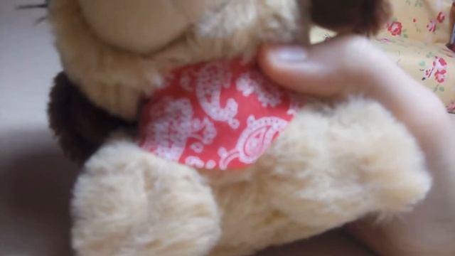 Собака с ресницами :-) смотреть онлайн