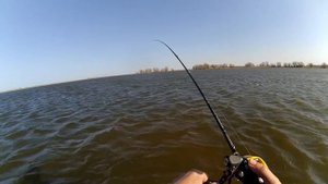 Как ловить на ратлины и вибы летом на спиннинг, на примере Kosadaka Ion Vib