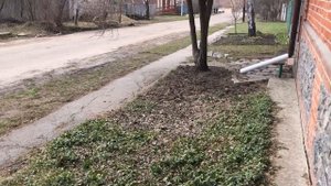 кто должен убирать территорию около вашего дома???...??