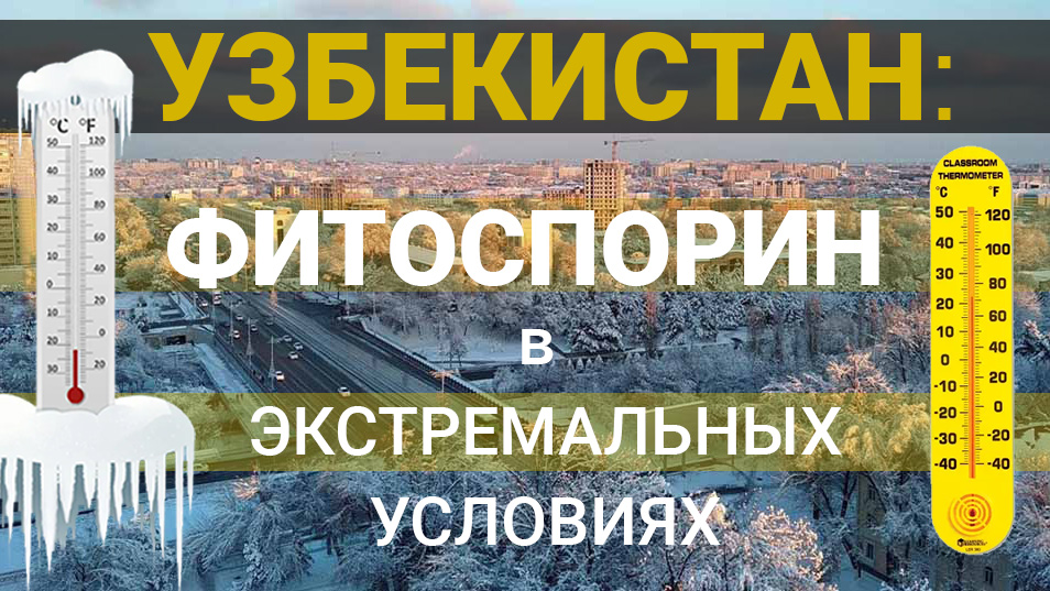 Фермеры Узбекистана высоко оценили биопрепараты НВП БашИнком