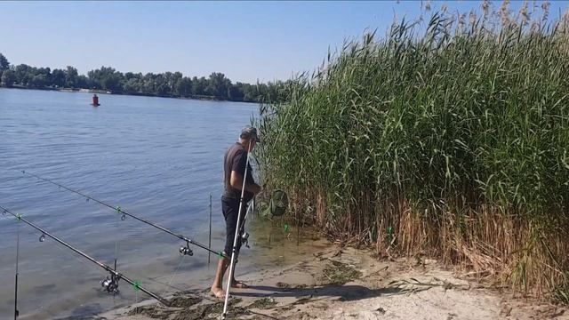Летняя рыбалка на Дону , р-он Старочеркасска, за конюшней на право. смотреть онлайн