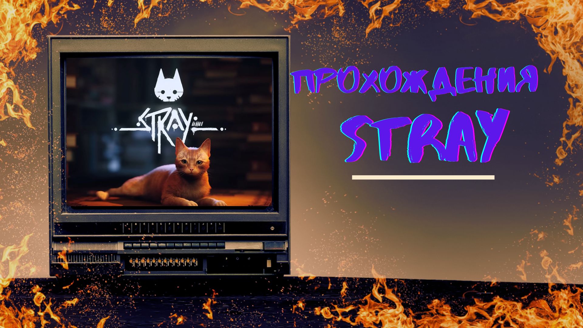 Заключение STRAY