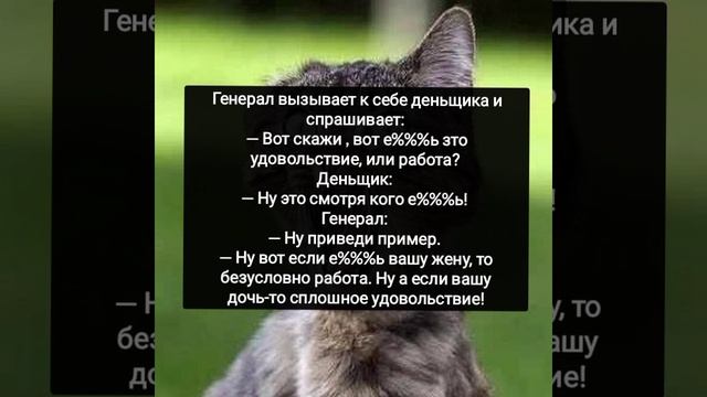 Про генерала...
