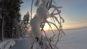 В лесном домике! Строю скворечник в старом пне! Зимняя сказка!!!