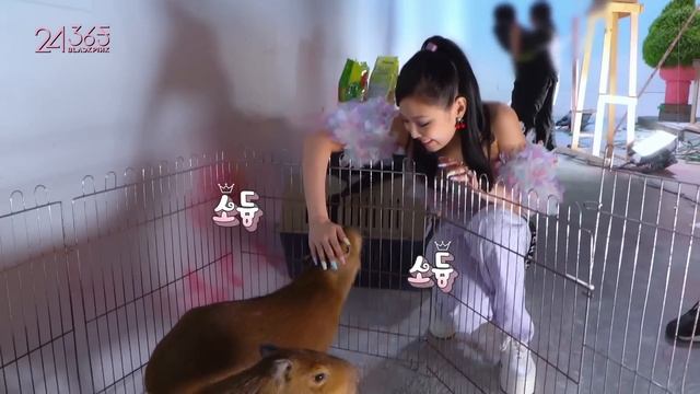 BLACKPINK - '24/365 with BLACKPINK' EP.10