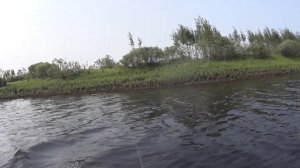 Видео отчет по рыбалке на реке Тура в Созоново и старице Монастырская Прорва (3 июля 2016)