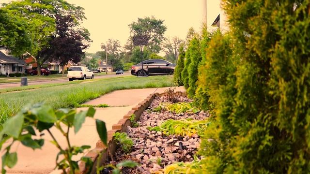 Canon 80D with 18-135 USM IS kit lens (touch-to-focus test) смотреть онлайн