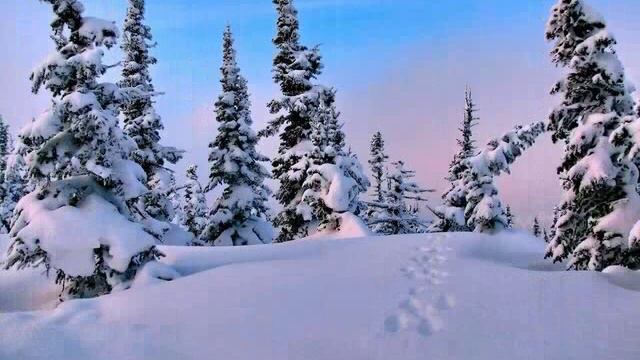 Горная Шория