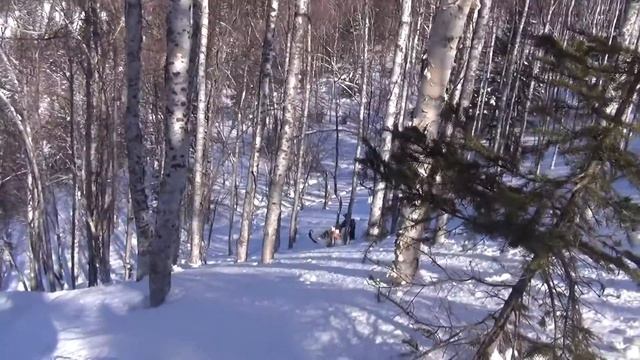 снегоходы. BRP, Polaris Сахалин. snowmobiling. Russia. Sakhalin. Fun time 2016 смотреть онлайн