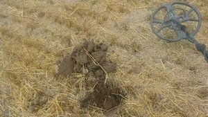 •Супер коп!!! •Поиск с металлоискателем X-TERRA 705• Поиск монет и кладов на царских хуторах!•