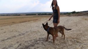 Stefan Biniak - The Read All About It (Bootleg) 2013 - Follow Your Dreams