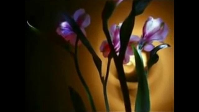 Супружеский вальс смотреть онлайн