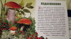 #Детям про грибы#полезные и нет#