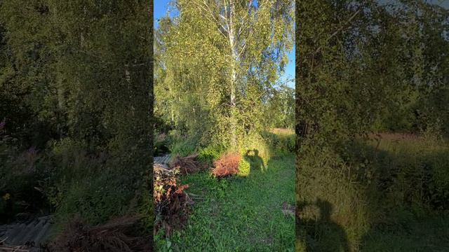 Участок 10 соток в дер. Афанасьево, около дороги,  рядом гор. Александров, Владимирская обл.