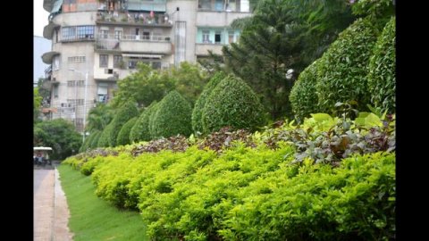 Вьетнам Хошимин, вьетнамские школьницы, движение во Вьетнаме