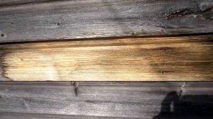 Мастер Заделкин | Отбеливатель древесины