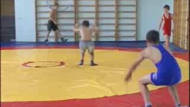вольная борьба