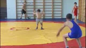 вольная борьба