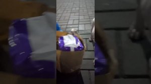 ОТПРАВКА ЩЕНКА ЖД ПО РОССИИ
