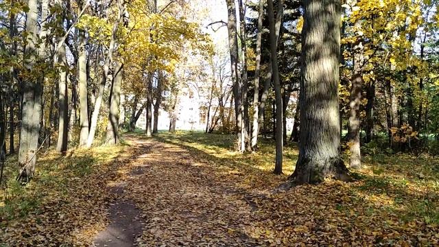 Дворцово-парковый ансамбль и памятник природы 