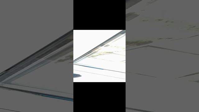 Принятие решения непонятного дела.mp4