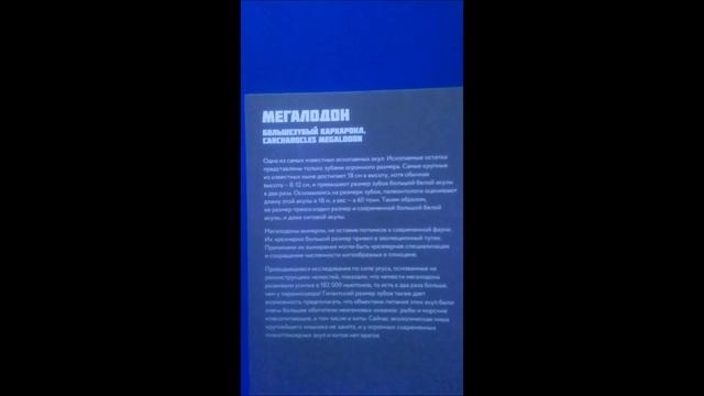 МЕГАЛОДОН ЖИВ! ЧЕЛЮСТИ. MEGALODON CARCHARODON IN MOSCOW! Москвариум