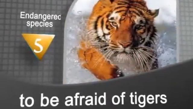 Вымирающие животные на английском языке. Endangered species. Word Express. Видеословарь.